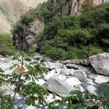 Inca Jungle Trail